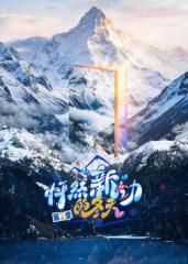 怦然新动的冬天第二季综艺